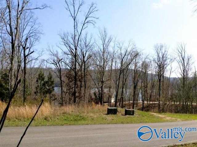 166 Lookout Mountain Drive, Scottsboro, Alabama image 3