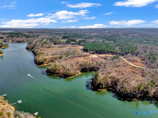 192 COUNTY RD 102, BREMEN, AL 35033 - Image c2be5ad8d66497c85a3e0410400f5c61/4244719307