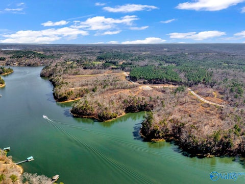 Vacant Land For Sale - 98 ACRES County Road 102<br/> Cullman County, Bremen, AL 35033