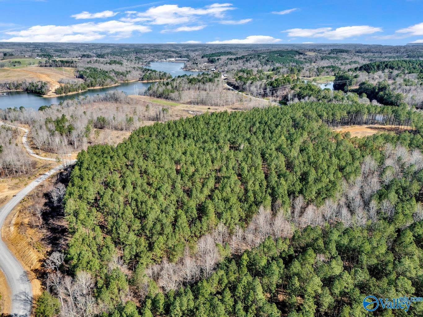 98 acres County Road 102