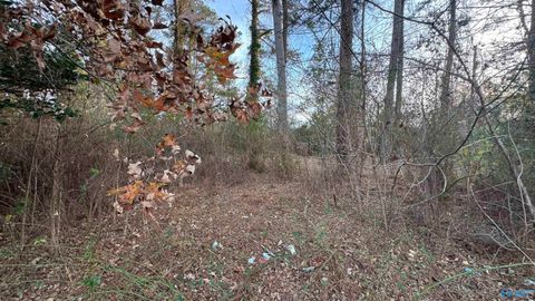 Homes For Sale - 3338 Wilson Avenue<br/> Rainbow City, AL 35906