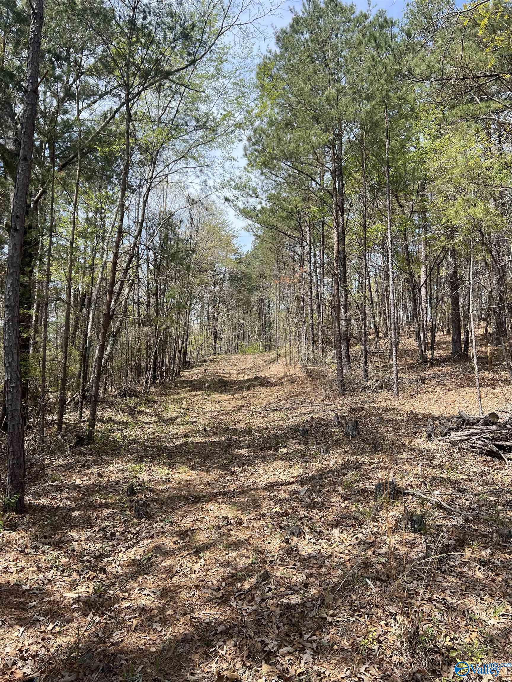 01 York Mountain Road, Empire, Alabama image 1