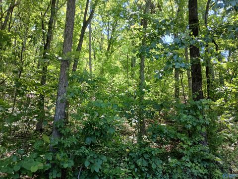Vacant Land For Sale - 386 Creekview Drive<br/> Etowah County, Rainbow City, AL 35906