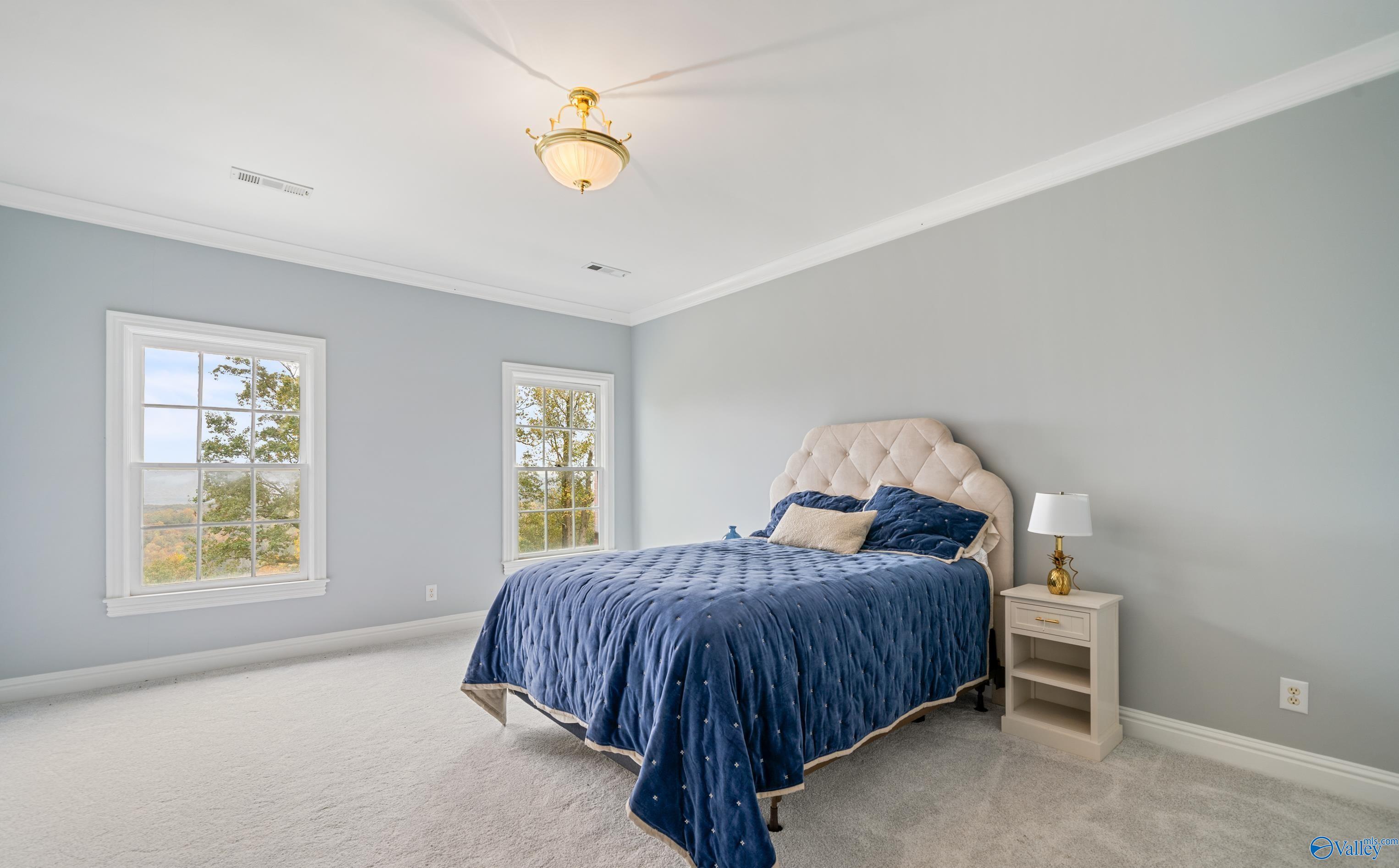 397 County Road 308, Fort Payne, Alabama image 33