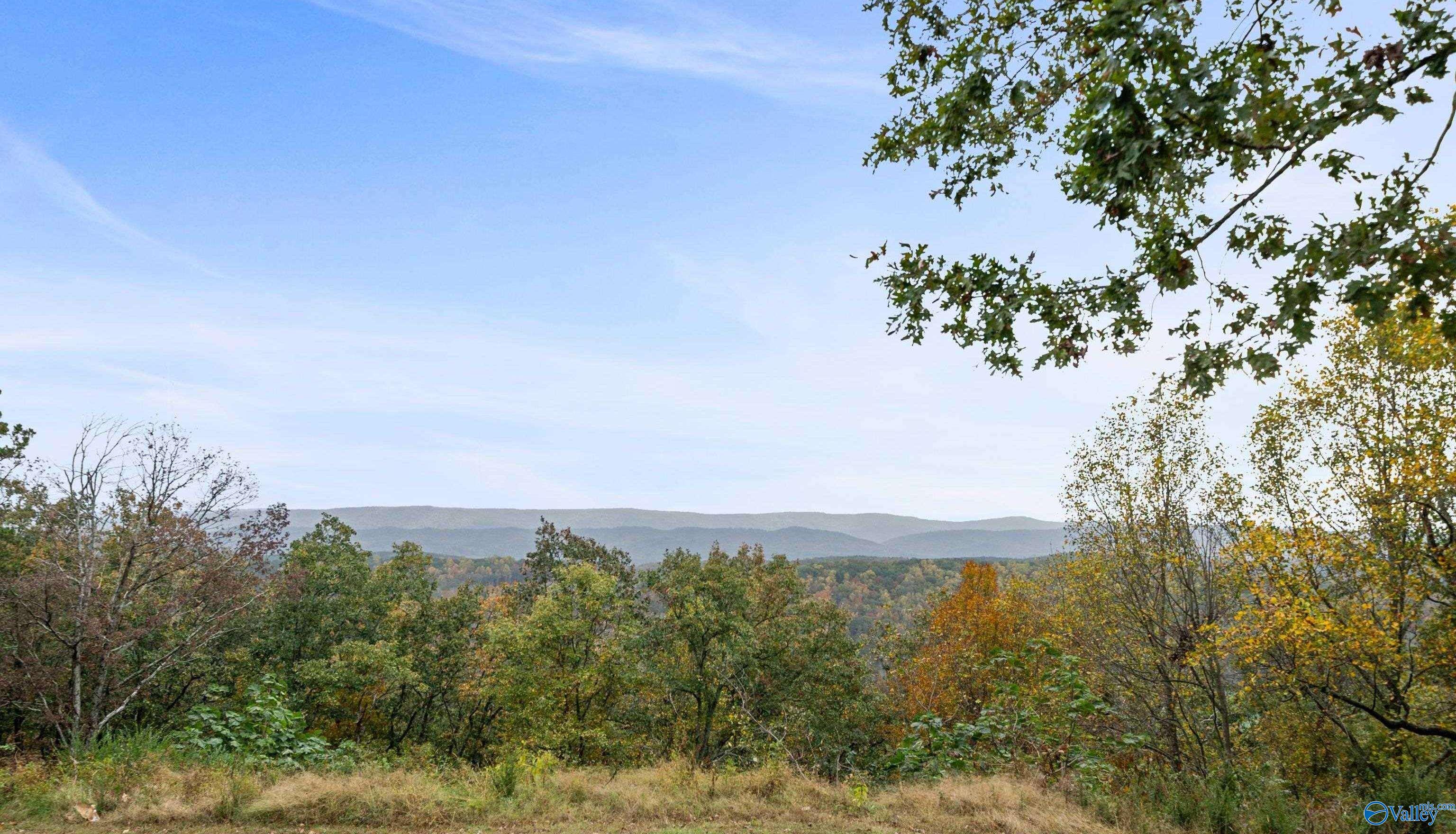 397 County Road 308, Fort Payne, Alabama image 40