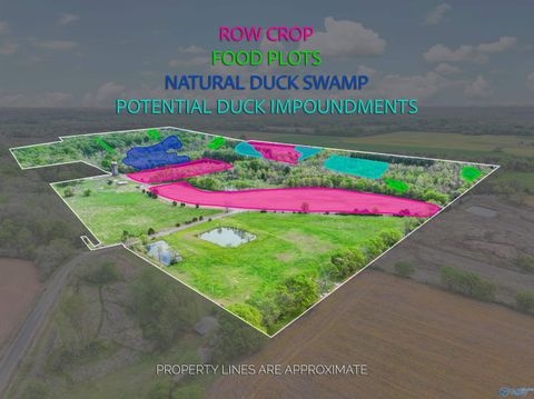 Vacant Land For Sale - 412 Targum Road<br/> Hartselle, AL 35640
