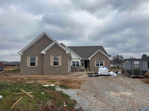 23943 Justin Brent Circle Elkmont AL 35620