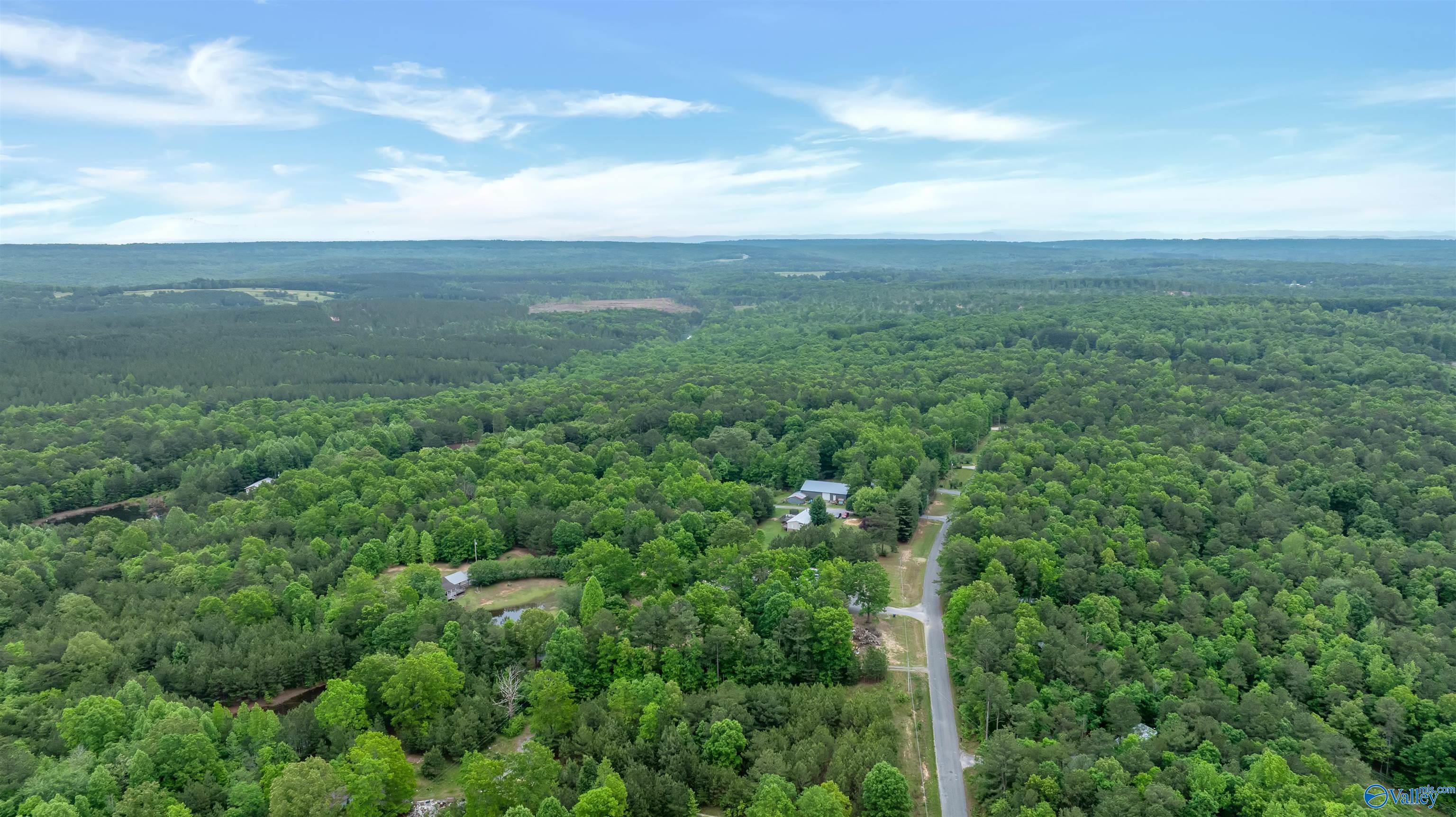568 County Road 642, Mentone, Alabama image 31