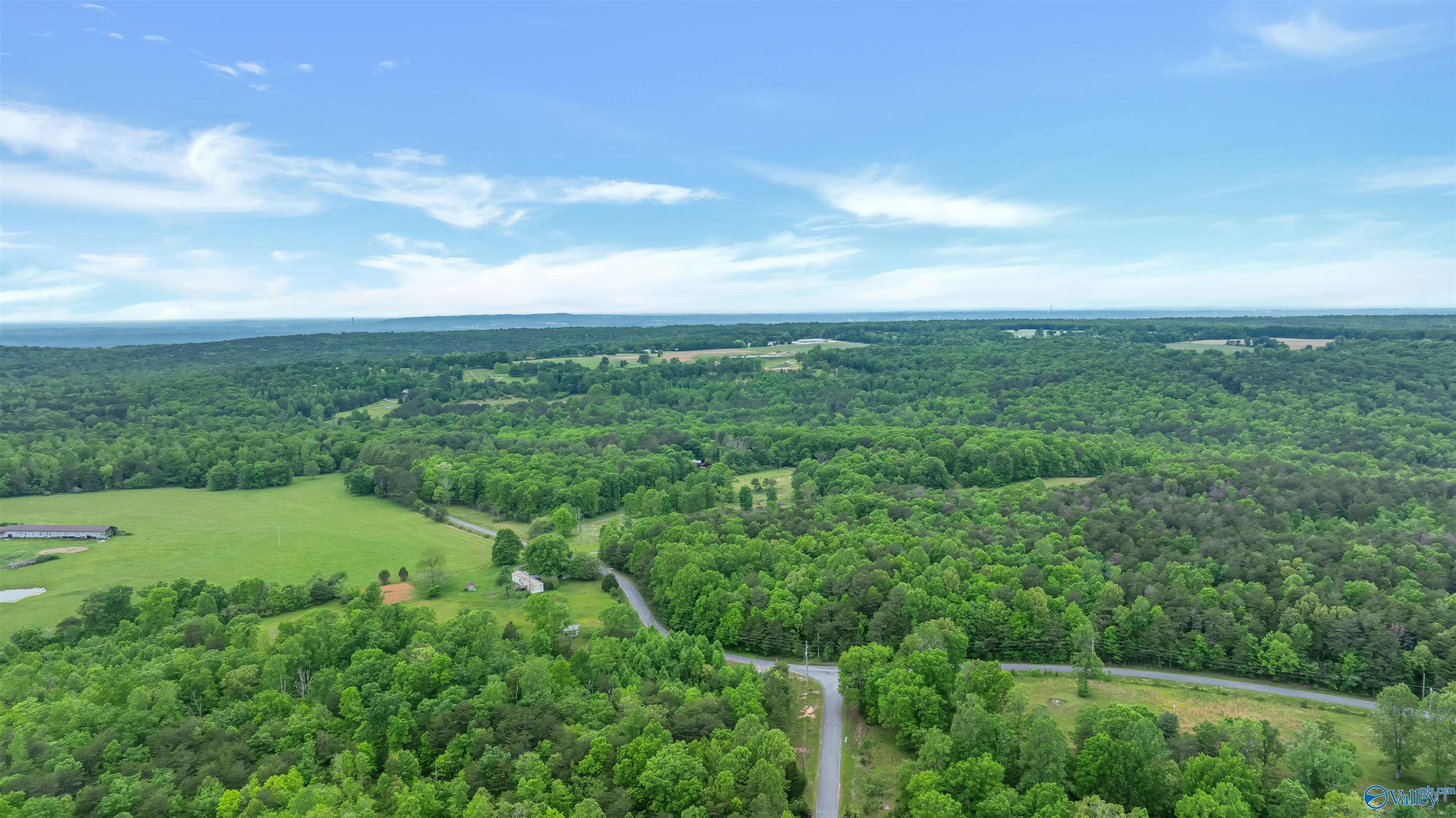 568 County Road 642, Mentone, Alabama image 32