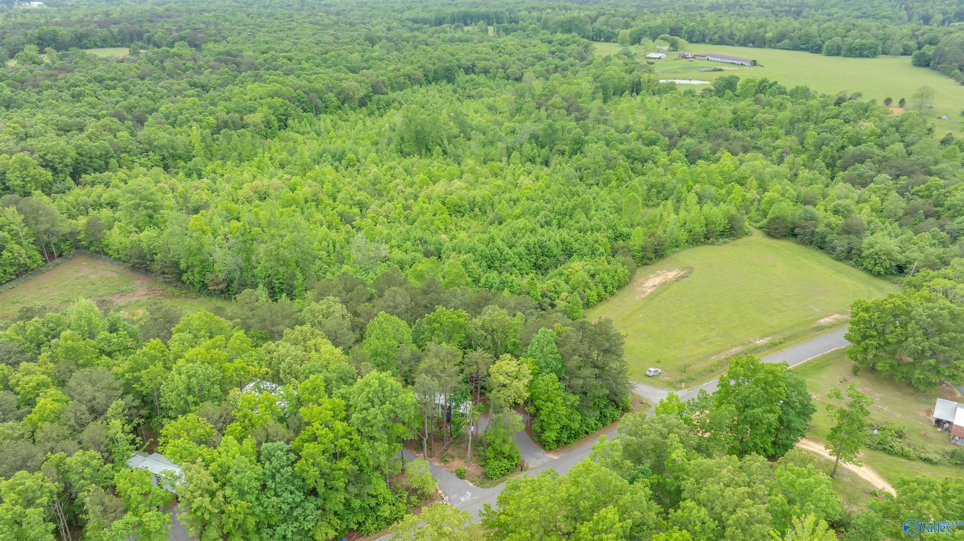 568 County Road 642, Mentone, Alabama image 28