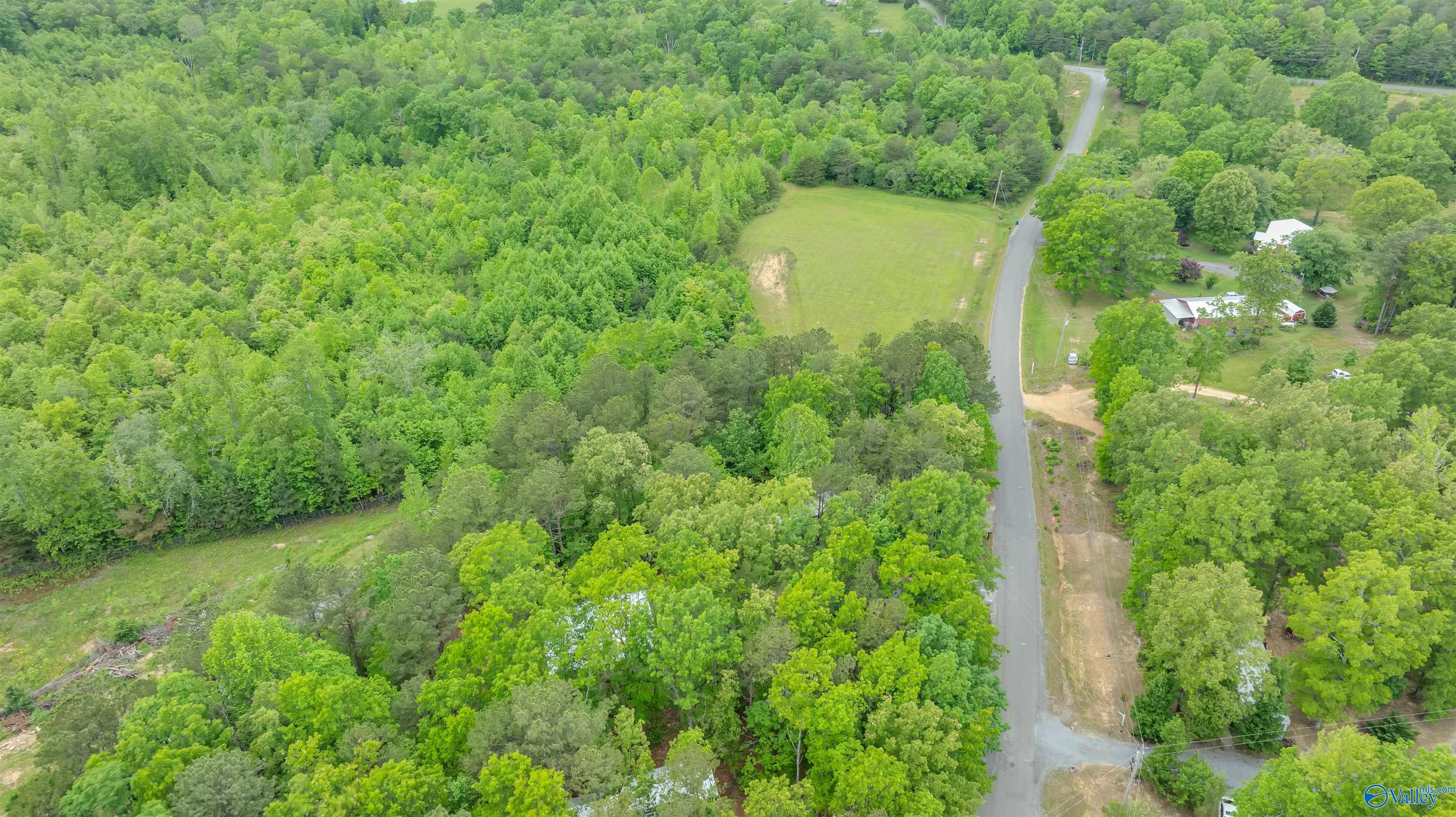 568 County Road 642, Mentone, Alabama image 29