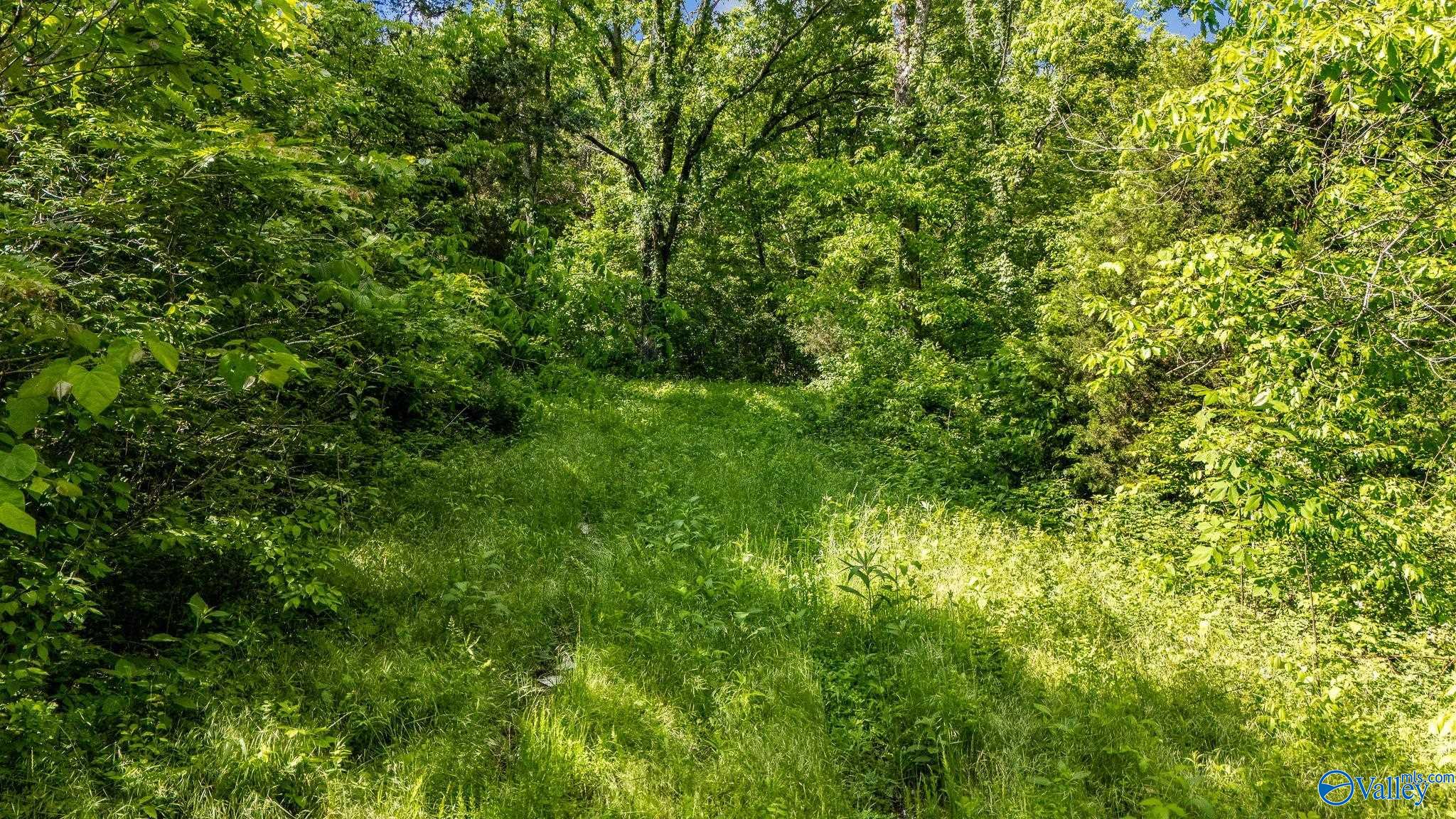475 Old Elkton Pike, Fayetteville, Tennessee image 15