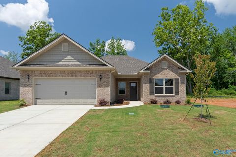 Photo of 146 Virtue Way, Harvest, AL 35749 (MLS # 21919295)