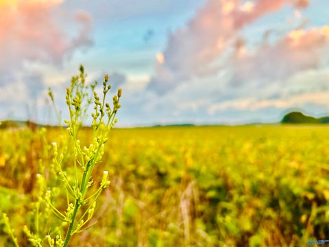 Vacant Land For Sale - 15 ACRES Tower Street<br/> Trinity, AL 35673