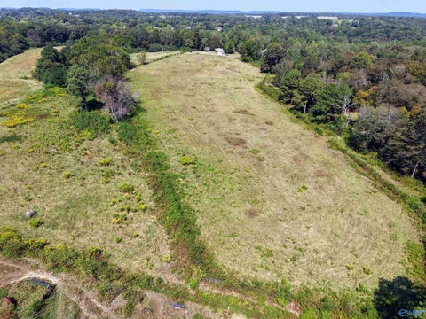 Vacant Land For Sale - 20.51 Gibson Road<br/> Union Grove, AL 35175
