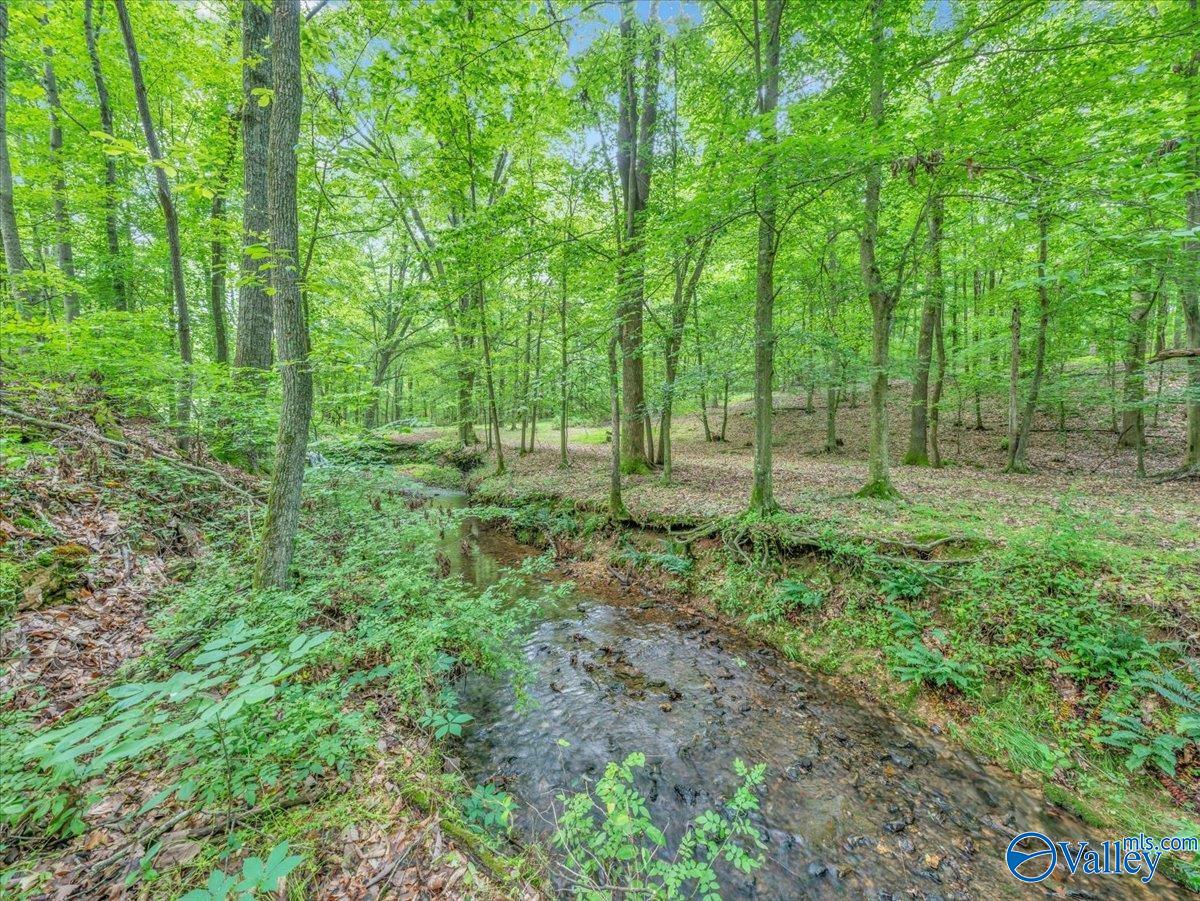 28002 Jennings Chapel Road, Toney, Alabama image 4