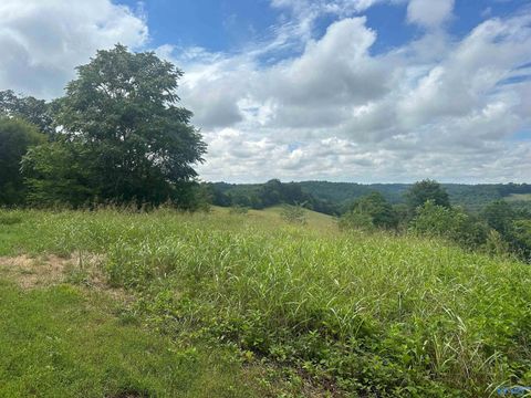 Vacant Land For Sale - 5A Simmons Road<br/> Belvidere, TN 37306