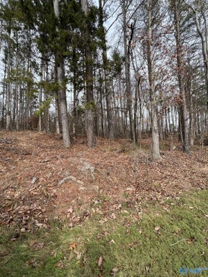 5627 AL HIGHWAY 227, GUNTERSVILLE, AL 35976 - Image c41fbc632c8f032a9b08262f3153f8b1/2185676780