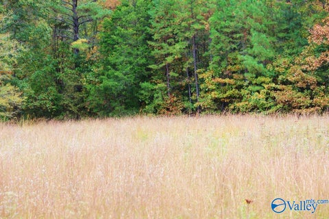 Vacant Land For Sale - 3753 S Woodtrail Rd<br/> Decatur, AL 35603