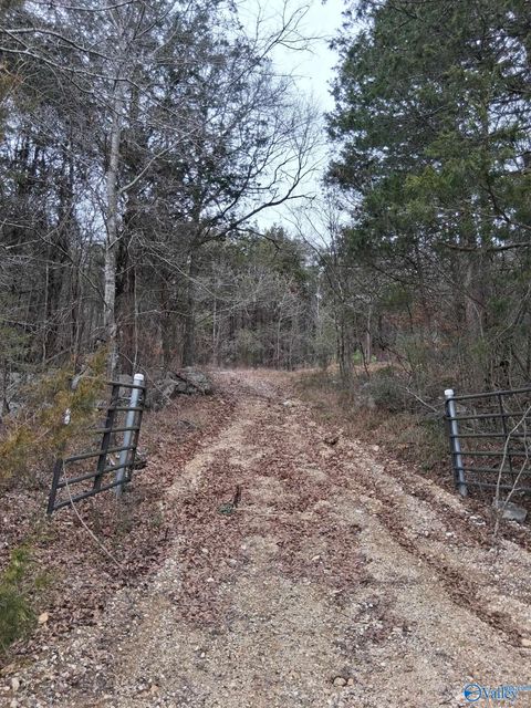 Vacant Land For Sale - 93.67 County Road 106<br/> Jackson County, Trenton, AL 35774