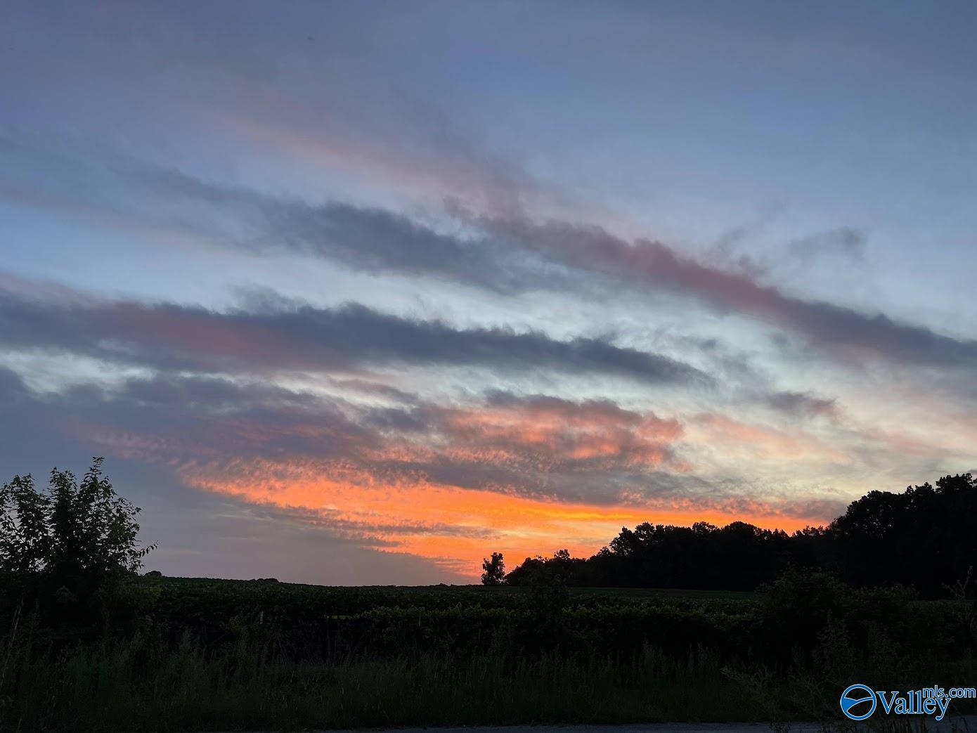 21336 Clement Gin Road