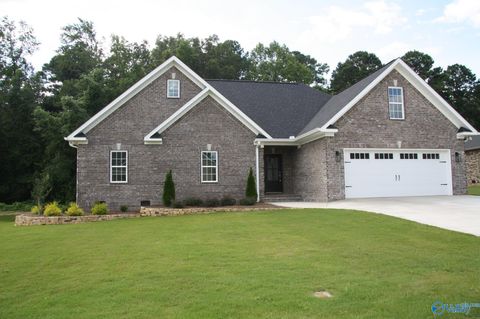 Homes For Sale - 5842 Katherine Street<br/> Etowah County, Southside, AL 35907