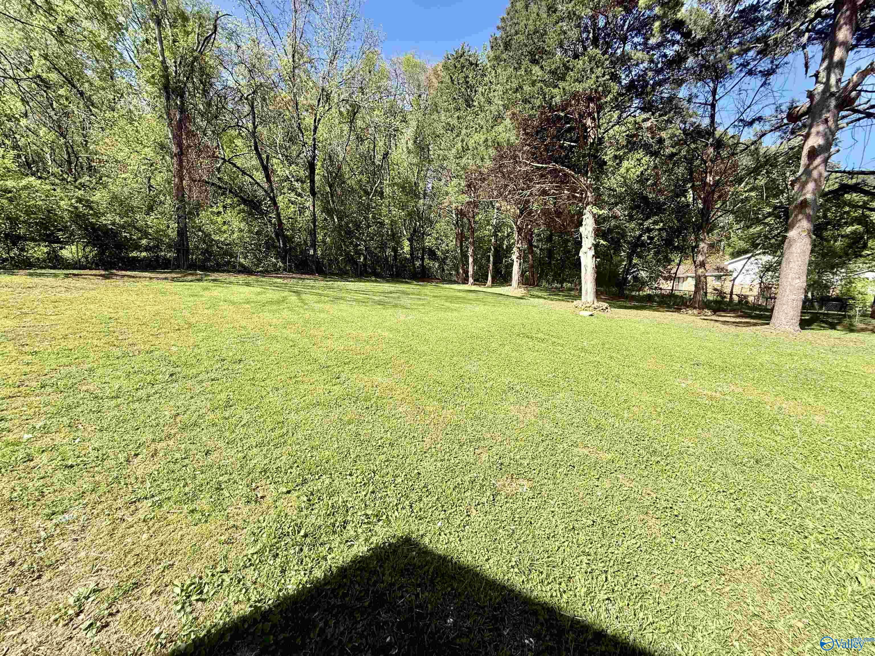 3612 Avondale Drive, Huntsville, Alabama image 10