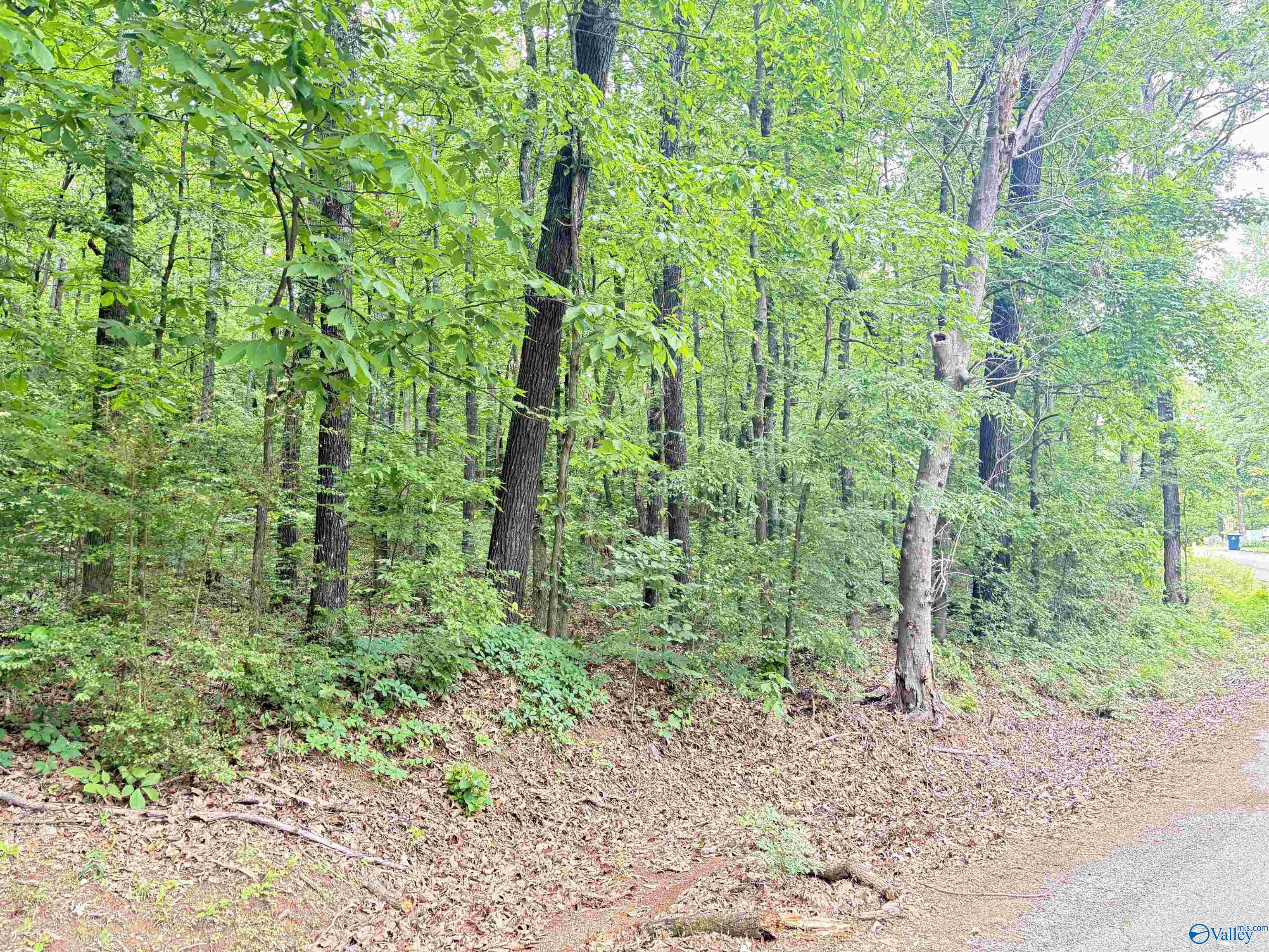 Lot 72 Holiday Shores Road, Scottsboro, Alabama image 2