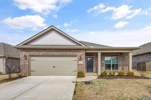 Homes For Sale - 21825 Natures Cove Drive<br/> Athens, AL 35613