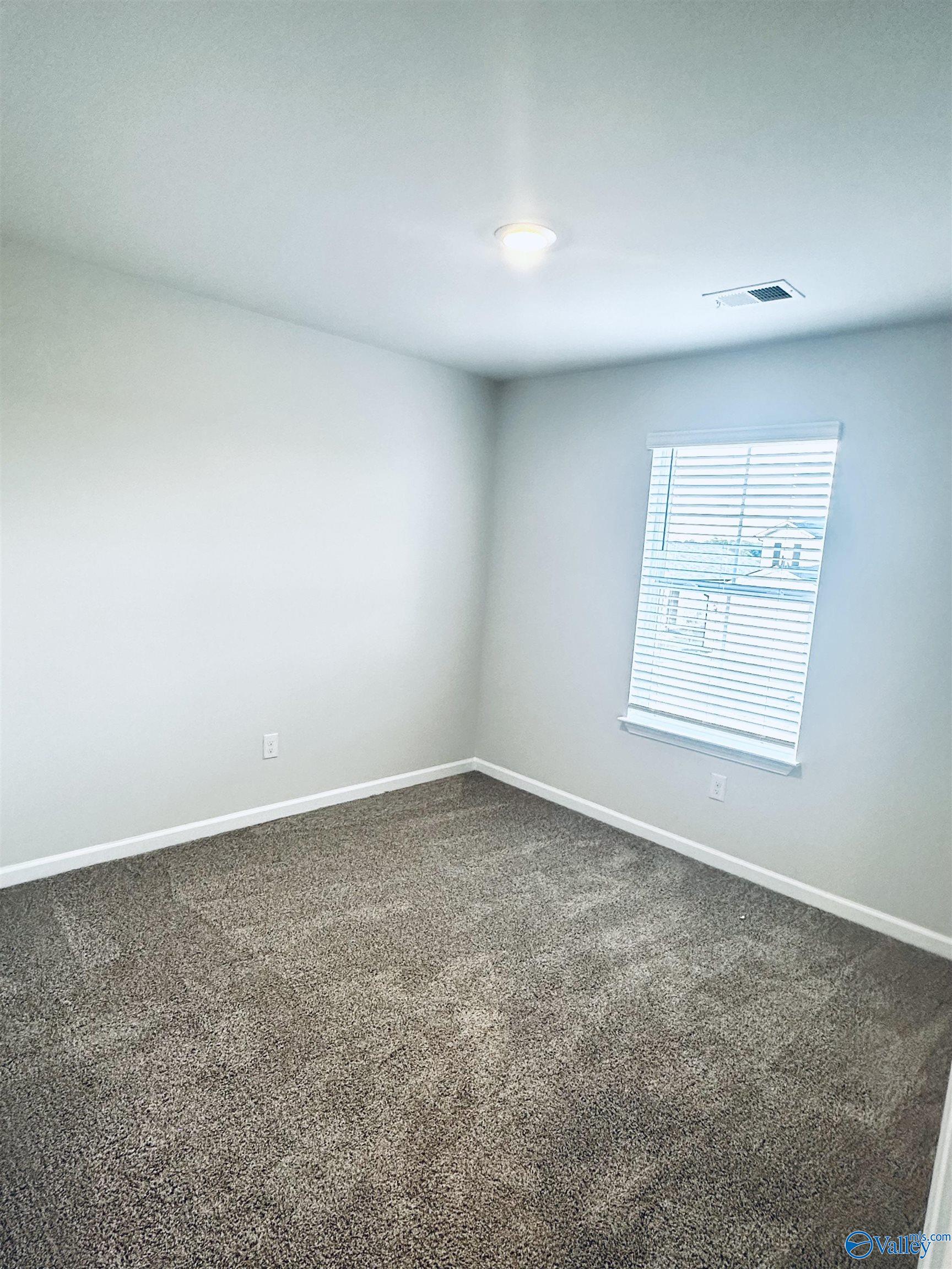 8141 Huspa Avenue, Madison, Alabama image 22