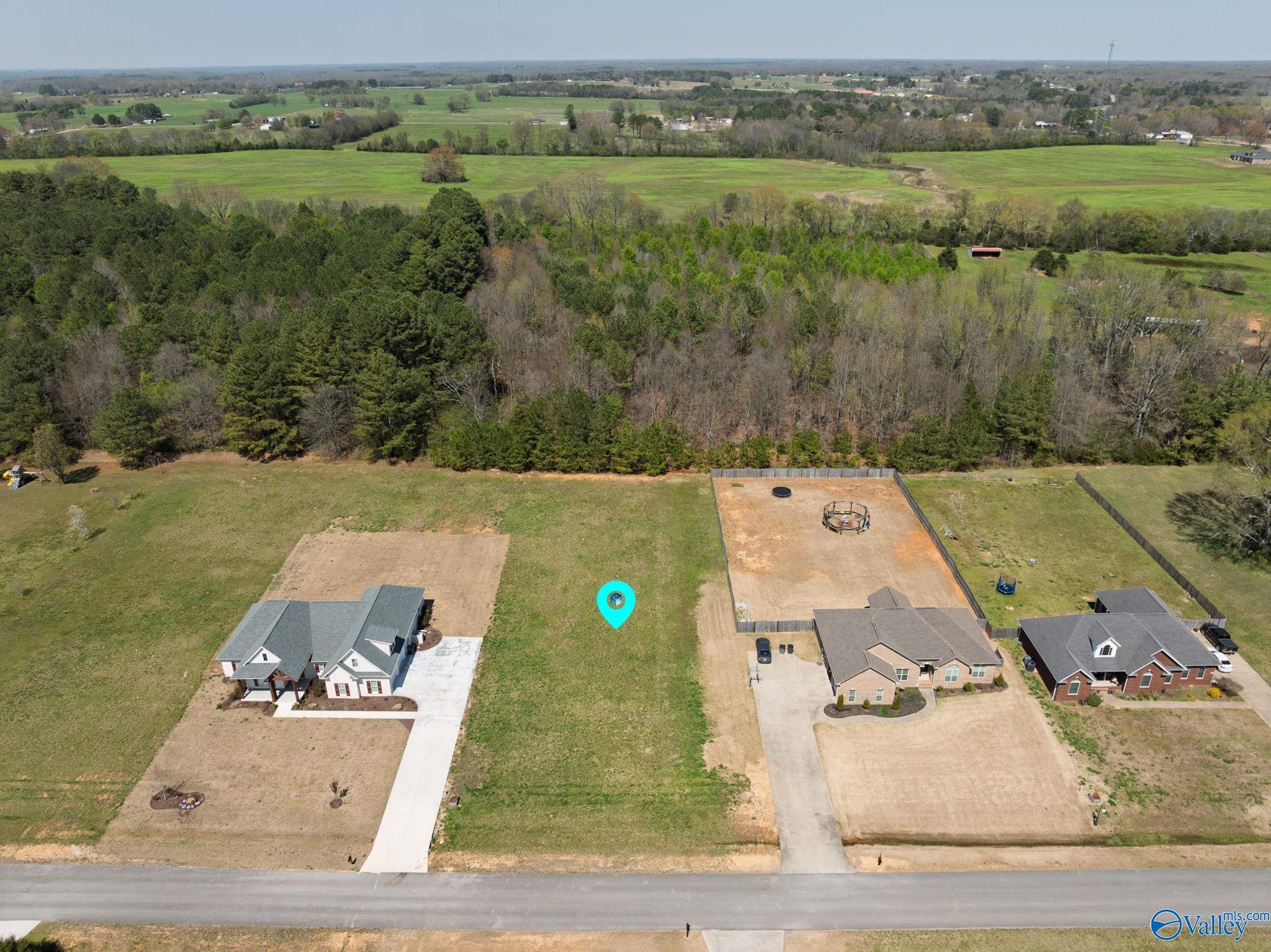 284 Brothers Lane, Rogersville, Alabama image 3