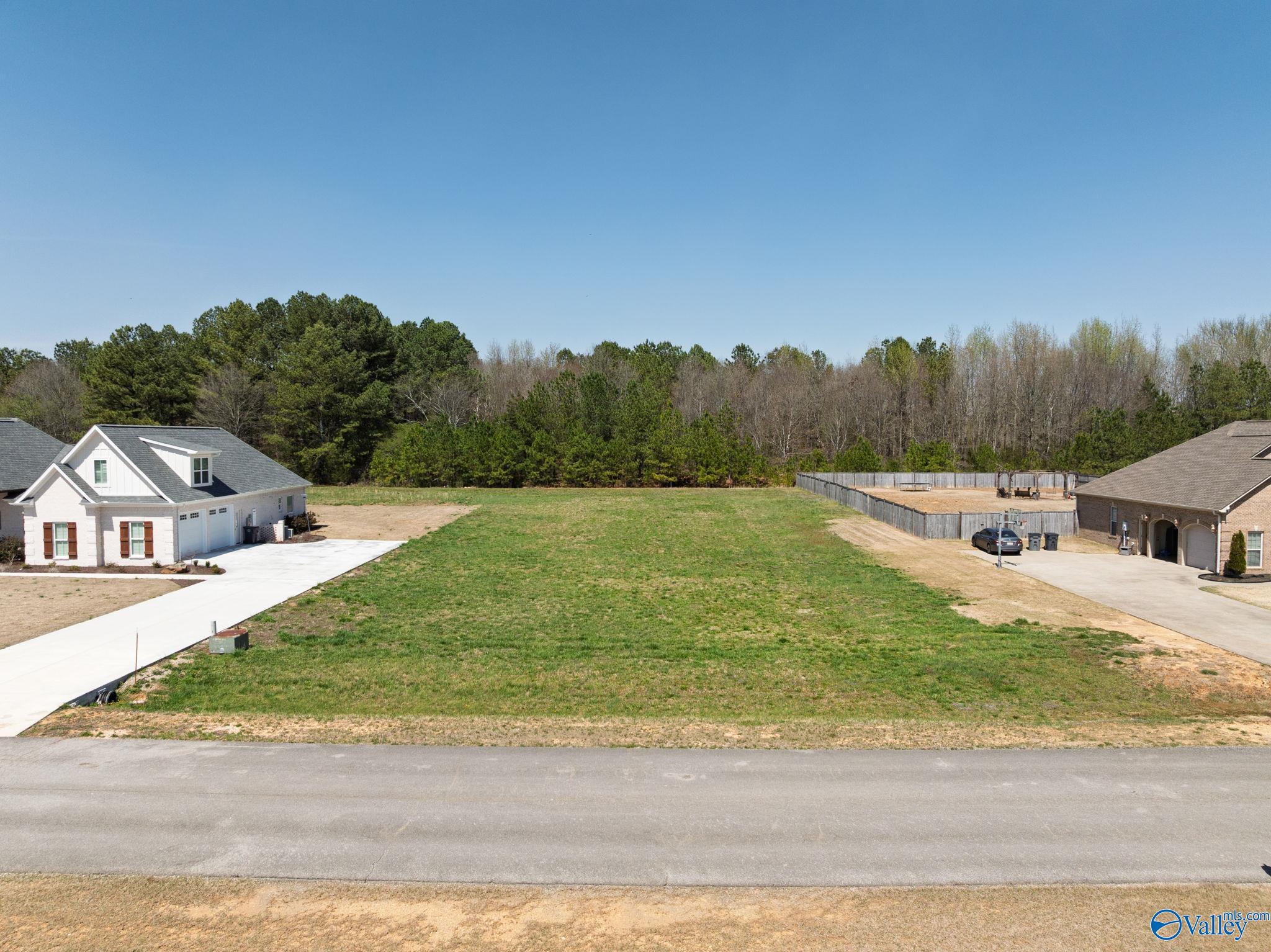 284 Brothers Lane, Rogersville, Alabama image 1