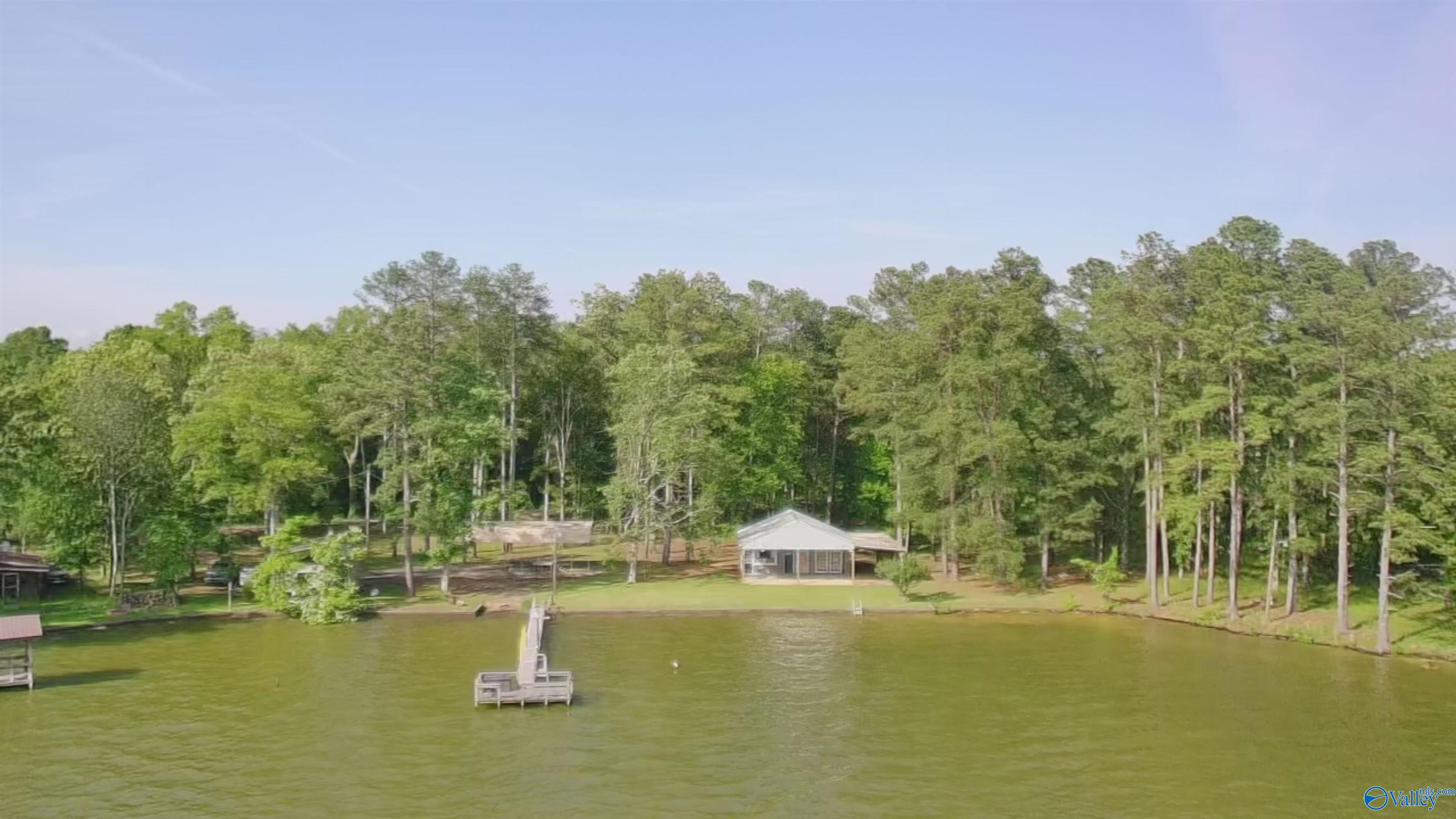 1165 Sunset Drive, Leesburg, Alabama image 45