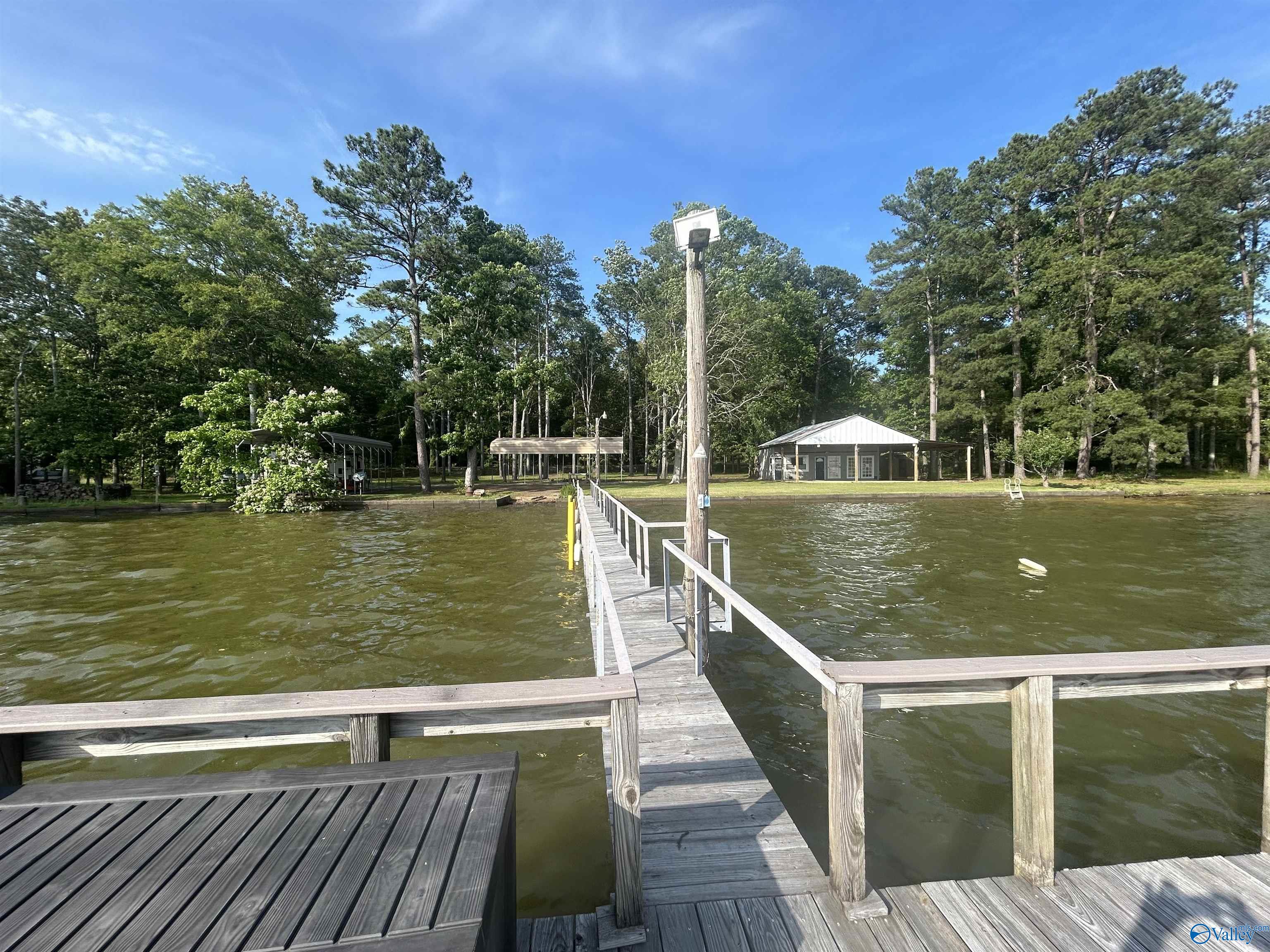 1165 Sunset Drive, Leesburg, Alabama image 21