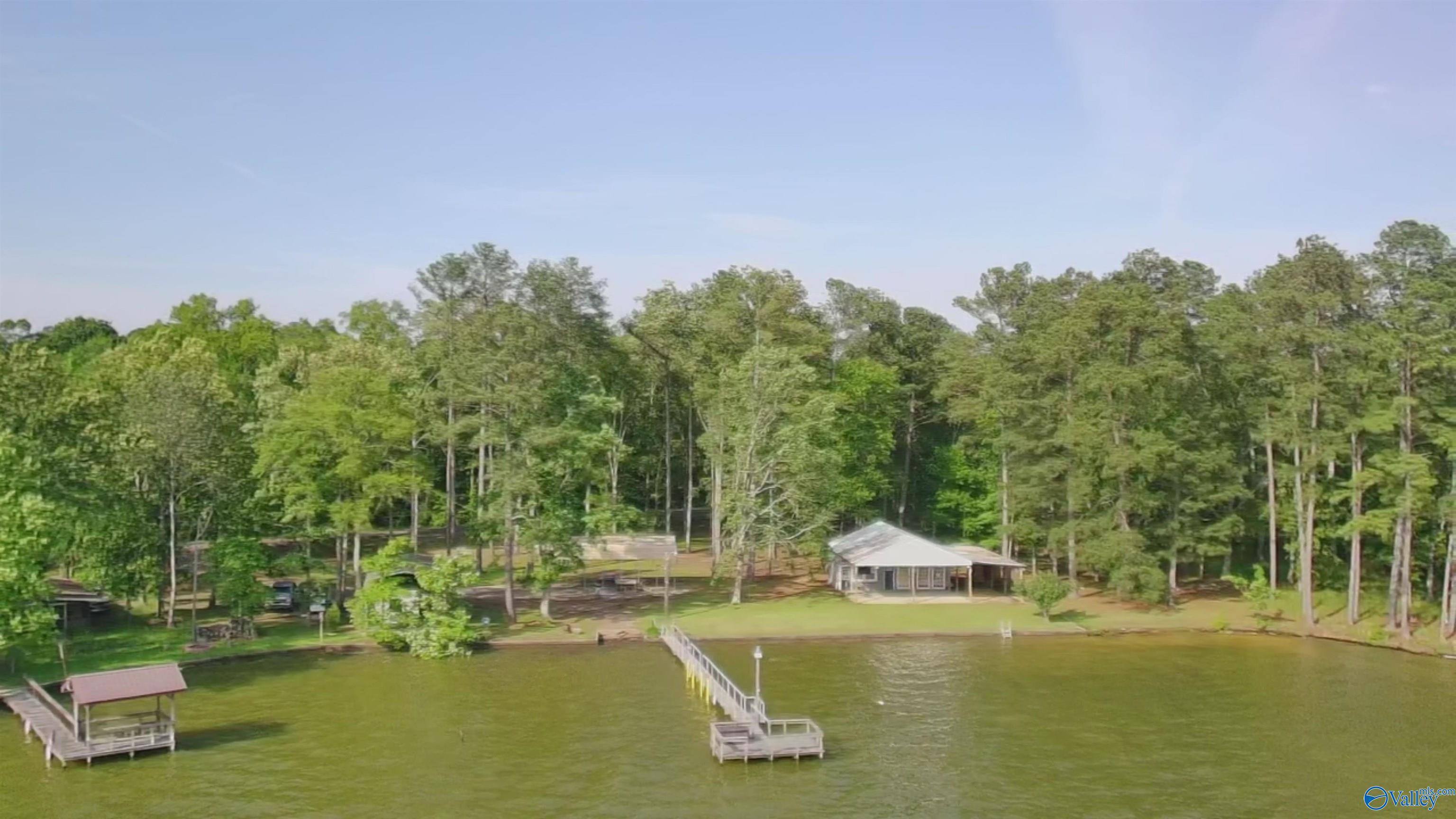 1165 Sunset Drive, Leesburg, Alabama image 1
