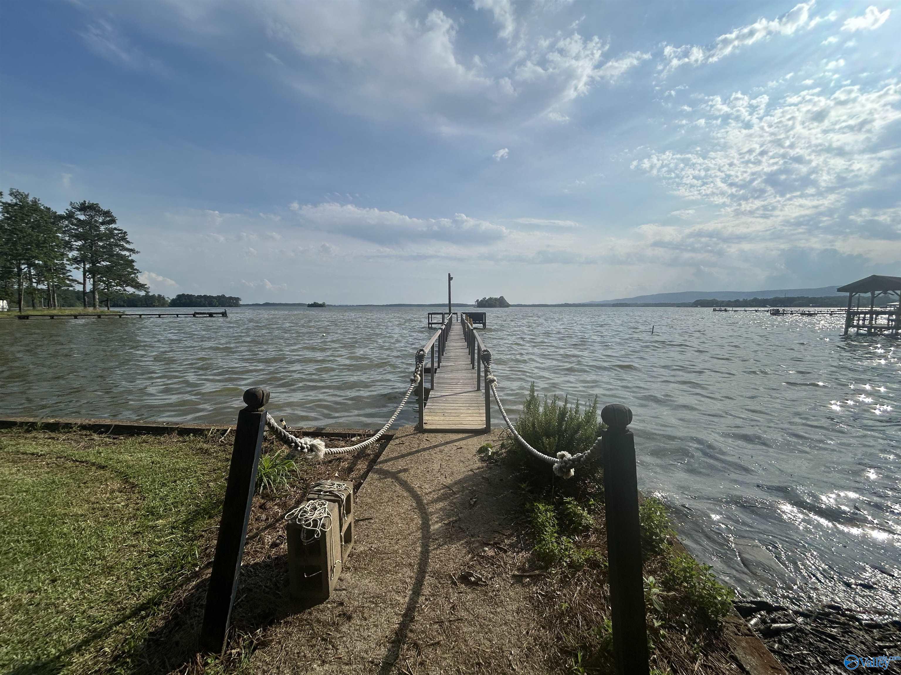 1165 Sunset Drive, Leesburg, Alabama image 20