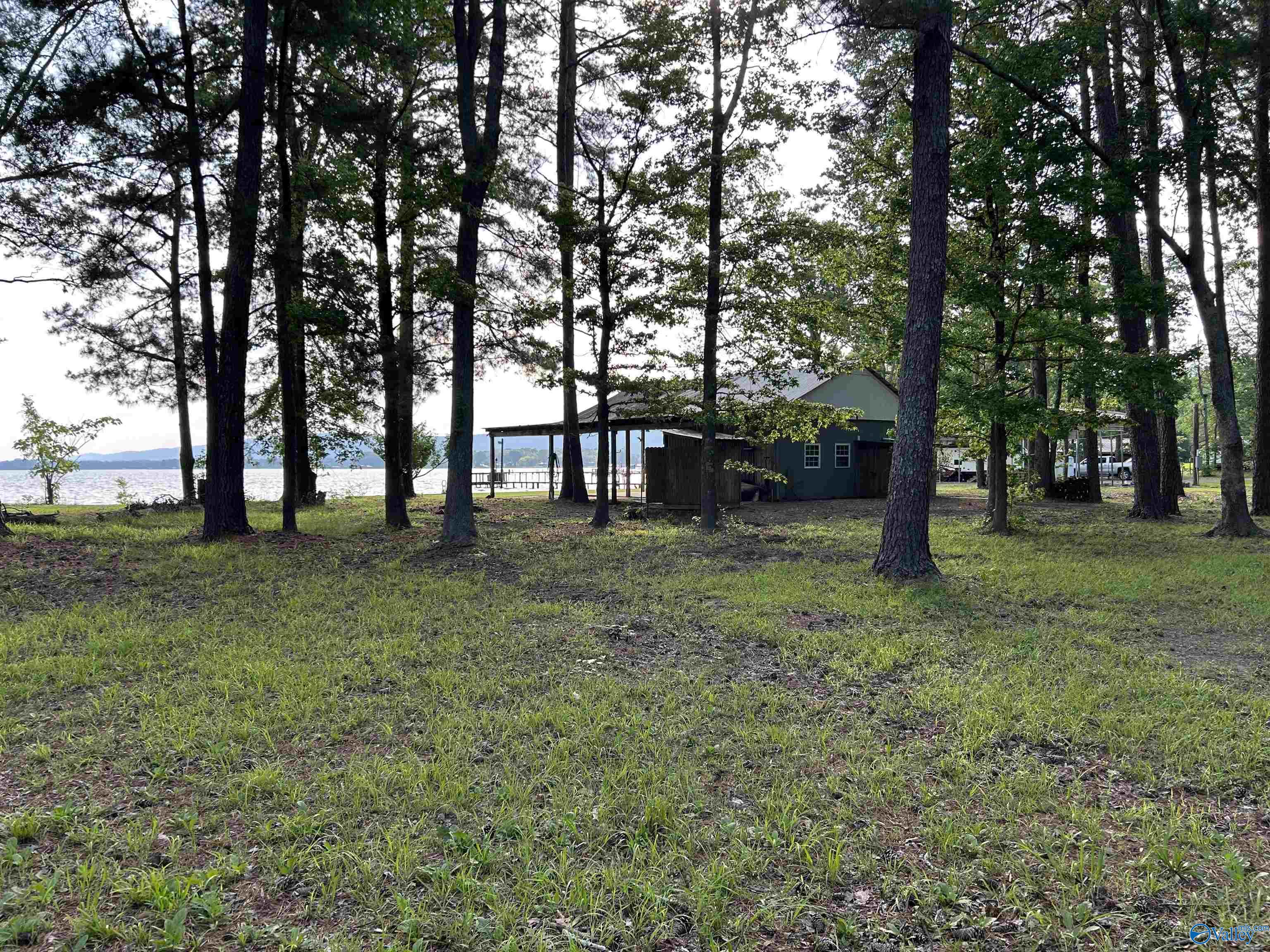 1165 Sunset Drive, Leesburg, Alabama image 26