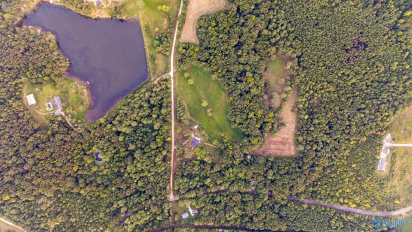 74 COUNTY ROAD 288, COURTLAND, AL 35618 - Image c4ac9a9ec1658a9a1caf2e4aff085a71/3948890095
