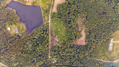 Homes For Sale - 74 County Road 288<br/> Lawrence County, Courtland, AL 35618