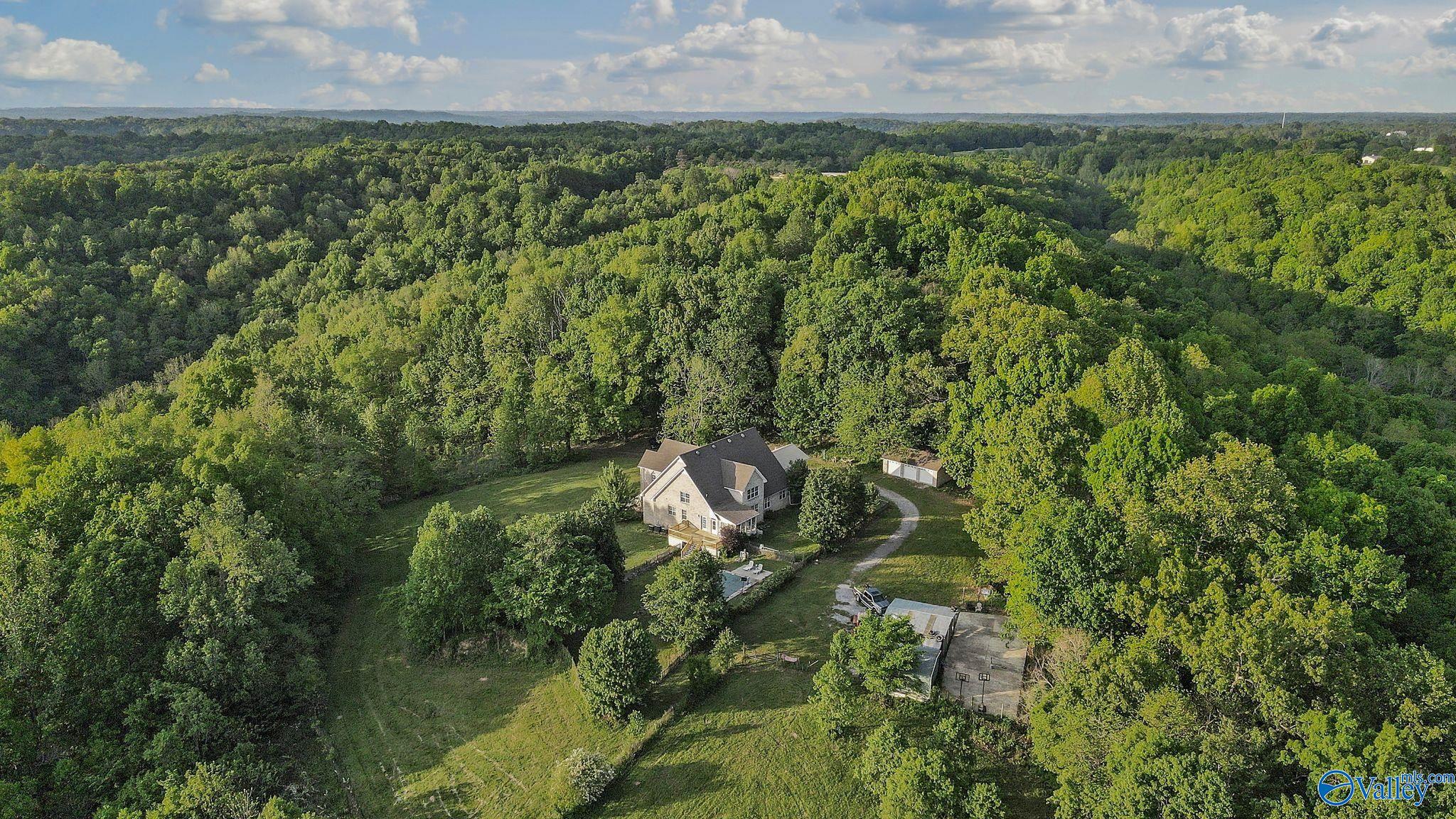 28726 Ragsdale Creek Road, Elkmont, Alabama image 7