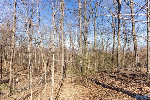 Vacant Land For Sale - 3709 Lookout Drive<br/> Huntsville, AL 35801