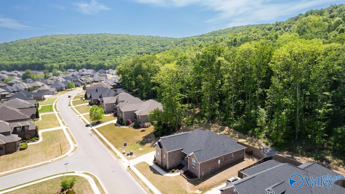 8014 Goose Ridge Drive, Owens Cross Roads, Alabama image 48