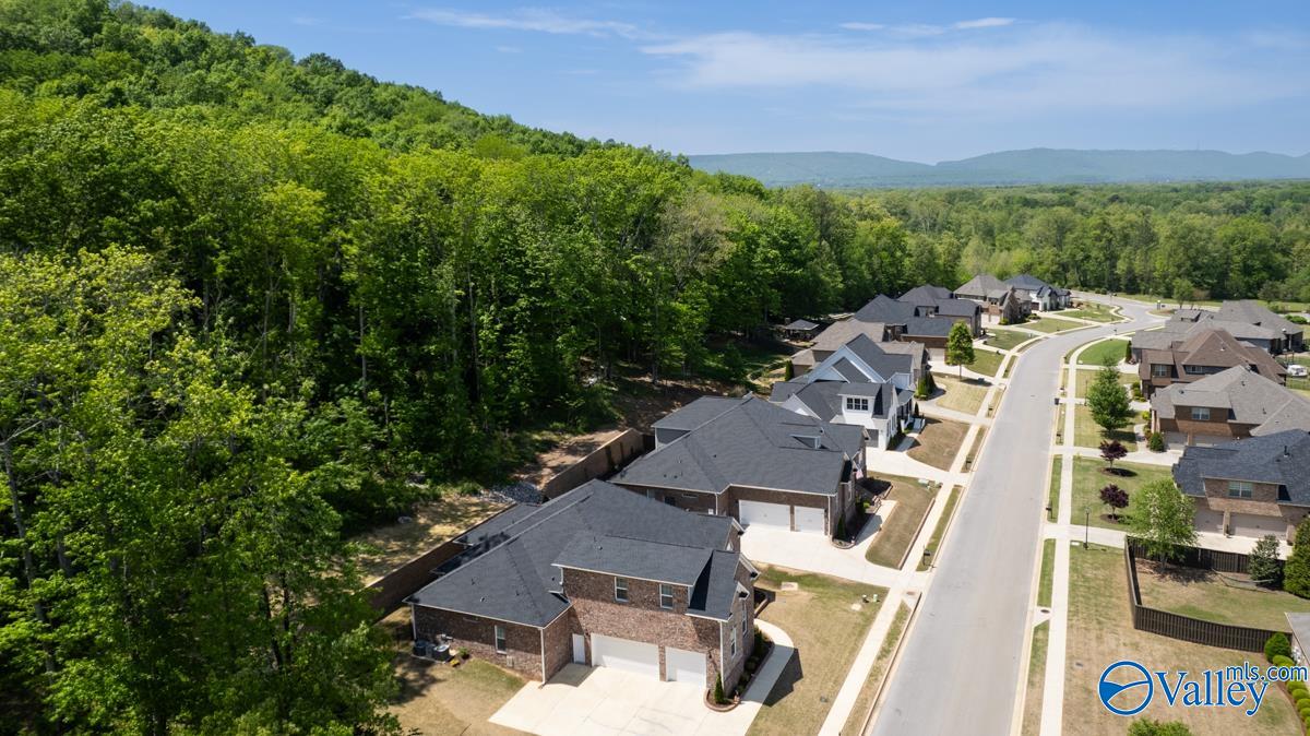 8014 Goose Ridge Drive, Owens Cross Roads, Alabama image 47