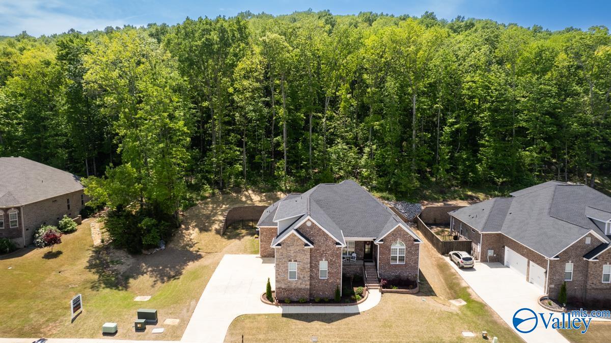 8014 Goose Ridge Drive, Owens Cross Roads, Alabama image 2