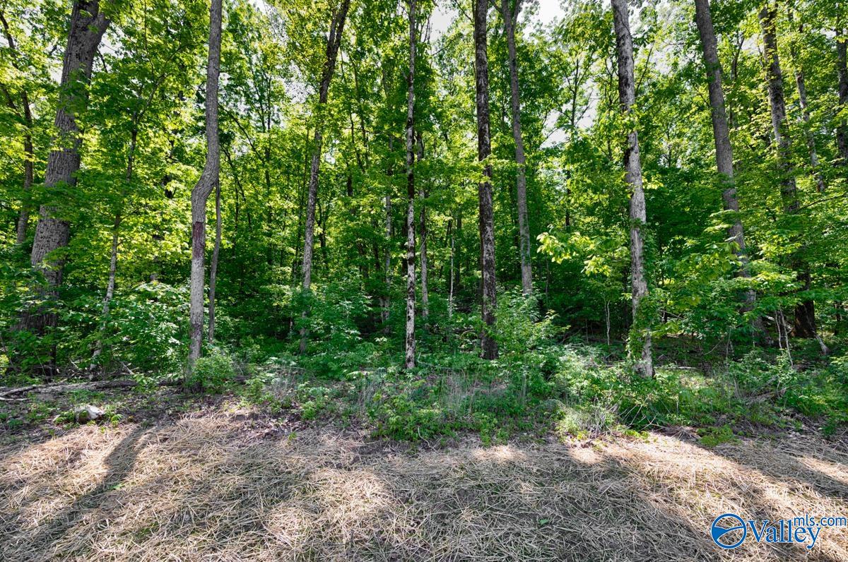 8014 Goose Ridge Drive, Owens Cross Roads, Alabama image 44