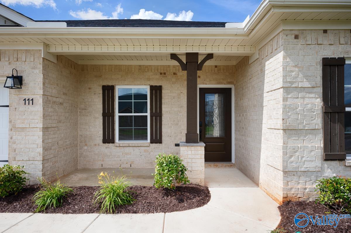111 Old Dirt Road, Meridianville, Alabama image 2