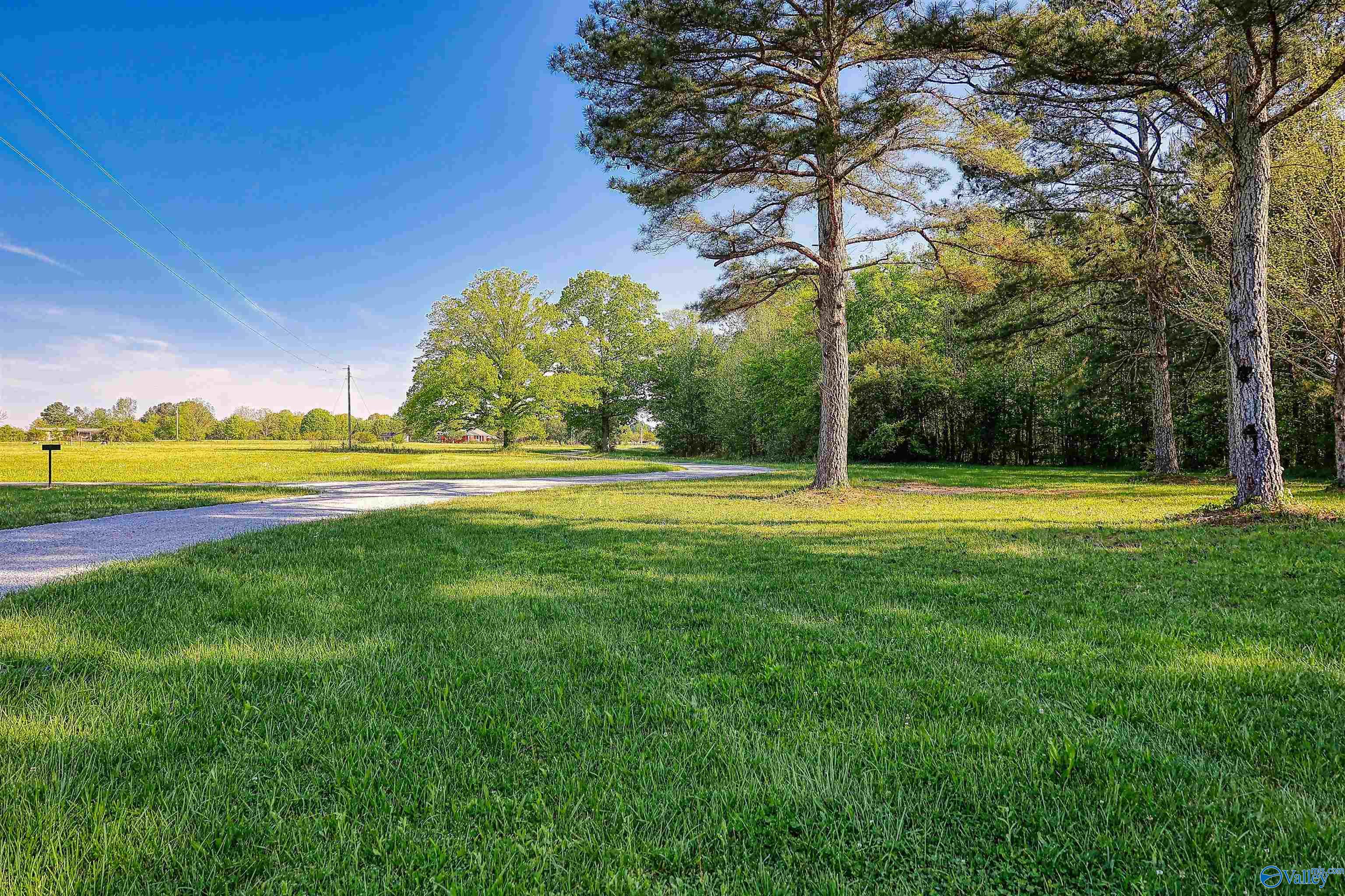 24552 Leatha Mae Way, Athens, Alabama image 1
