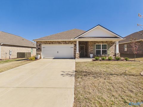 Photo of 29433 Canoe Circle, Harvest, AL 35749 (MLS # 21915568)