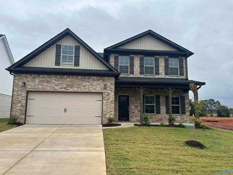 Homes For Sale - 206 Roman Randall Road<br/> New Market, AL 35761