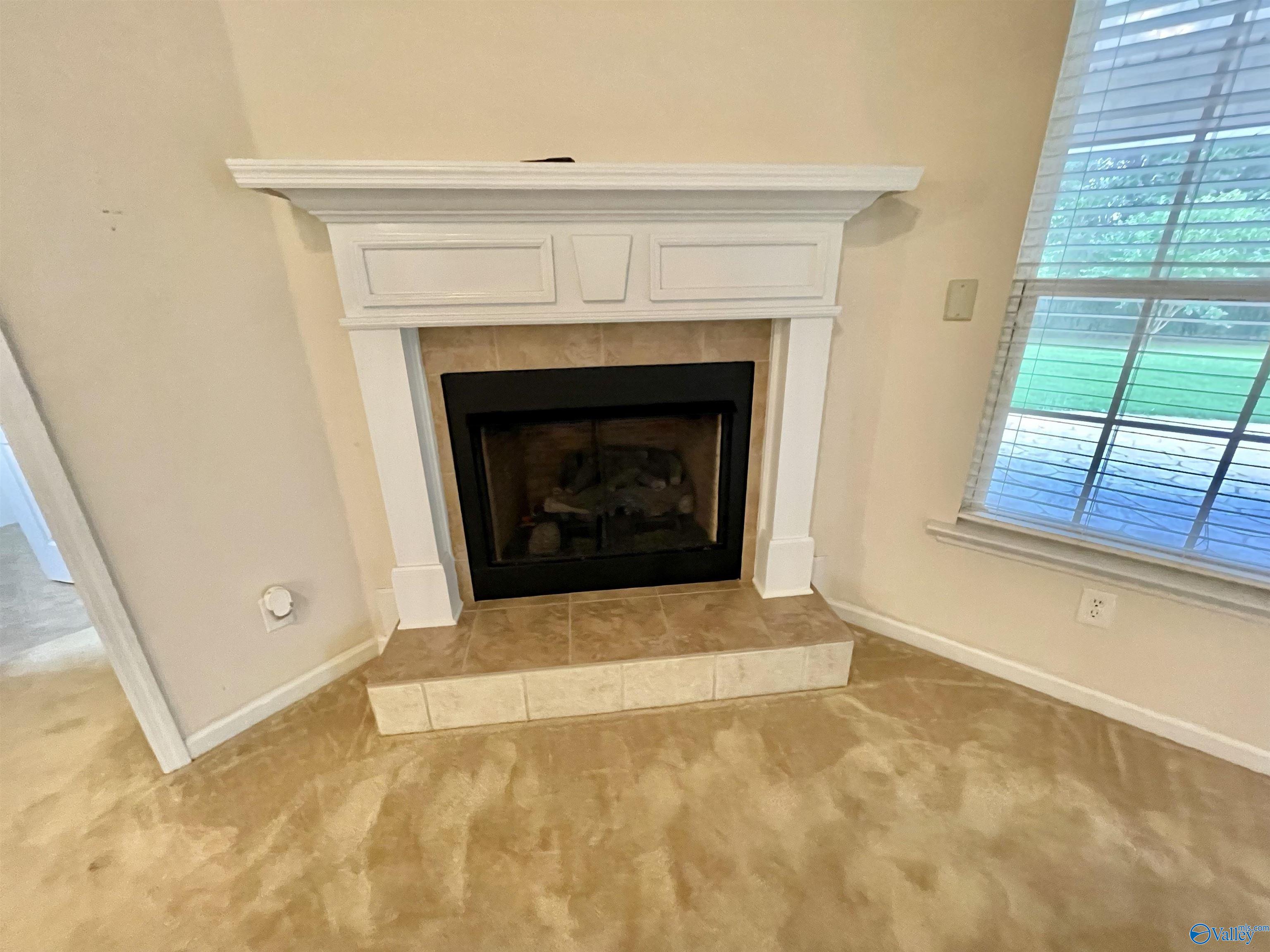 123 Amsterdam Place, Madison, Alabama image 23